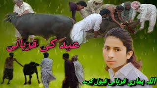 23 May 2022 Allah hamare qurbani ko Kabul Karen