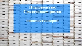 Сколачивание  Рамок Многокорпусного Улья Пневмостеплером