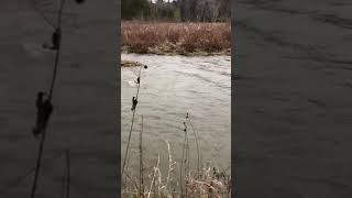 Rouge River Urban Park Ontario Canada Oak Ridges Moraine