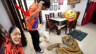 ORIO NE KAT DIYA 😱|| #video #viralvideo #viral #souravjoshivlogs #souravjoshimemes #piyushjoshimemes