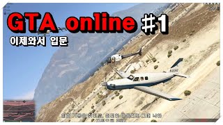 GTA online #1 - 뇌절 입문기