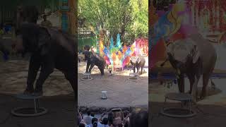 Safar world Elephant Show Thailand Bangkok