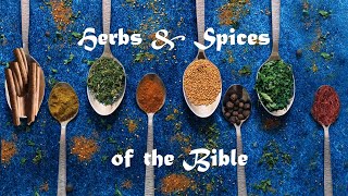 Herbs & Spices of the Bible Audio Remix