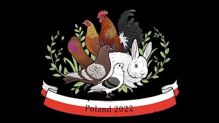 Wystawa Krajowa Poland 2022 Targi Kielce SA 15 18 XII 2022 odc 1