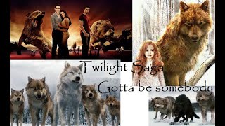 Twilight Saga - Gotta be somebody