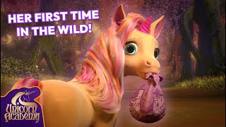 Releasing a BABY UNICORN into the WILD! | Unicorn Academy | Cartoons for Kids