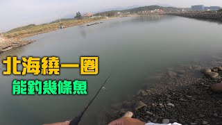 北海岸繞一圈能釣幾條魚