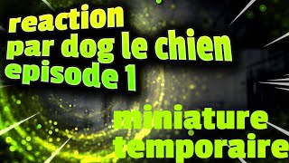 reaction de dog le chien ep 1 ( ratage d'animaux)