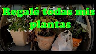 Adiós| Le regalo todas las plantas a mi mamá