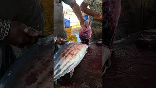 😱😱😱 Top 3 Big Tuna Fast Fish Cutting Skills #shorts