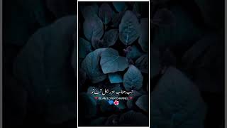 Peer Ajmal Raza Qadri emotional bayan Whatsapp status😢| @MuhammdAjmalRazaQadriOfficial