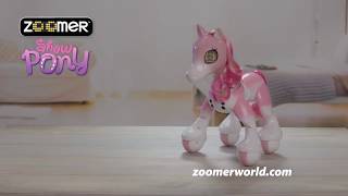 Zoomer | Show Pony | How To Play with Show Pony (Without Her Accessories)