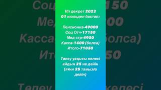 ИП арқылы декрет, 100 сұраққа 1 ғана жауап!!!