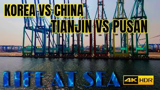 life at sea /Korea Pusan New Container Terminal vs China Tianjin