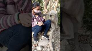 Langur ji yah bhi khata hai