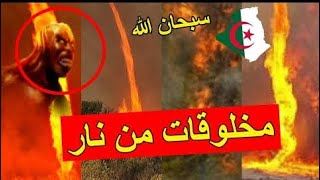 مخلوقات غريبه تظهر في حرائق غابات الجزائر