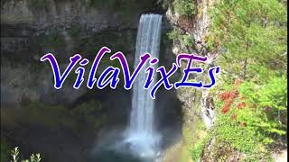 VilVIxEs