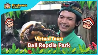 Visiting Bali Reptile Park | Learning Animal for Kids | Educational Video for Kids