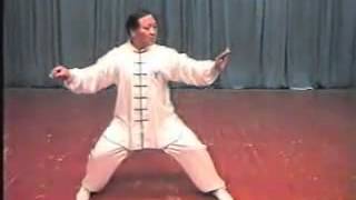 Zhang Qilin performing Chen-Style Taijiquan erlu/paochui