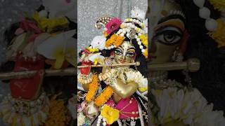 Daily Wonderful Radha Madhava Darshan #isckon #wonderful #radhakrishna #darshan #radha