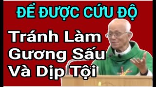 Để Được Cứu Độ Tránh Làm Gương Sấu Và Dịp Tội,  Bài Giảng Cha Hồng