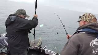 Sequim Halibut fishing June 2020