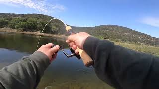 Growing Rocks Ranch Fishing Experience Vanderpool, TX #flyfishing #texas #bassfishing #dog