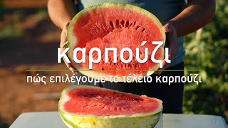 🍉 Καρπούζι: Πώς επιλέγουμε καλό καρπούζι - Τα Μυστικά του Κήπου