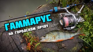 МОРМЫШИНГ | Рыбалка с ГАММАРУС НаноСпинМСК | ловля окуня на городском пруду