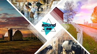 Farm Sounds Effects. FREE Copyright Sound Effects | soundME