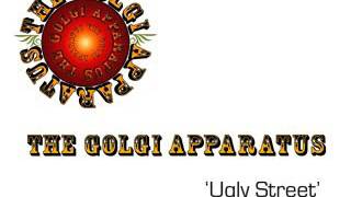 The Golgi Apparatus 'Ugly Street'