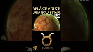 LUNA NOUA in TAUR 2024-Moment Bun Pentru Echilibrarea Relatiilor si Ingrijirea De Sine #shorts