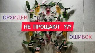 ОРХИДЕИ не прощают ОШИБОК  ???  снова ПЕРЕСАДКА  всех