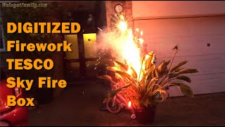 DIGITIZED Fountain Bird of Paradise Firework - TESCO Sky Fire box, Bonfire Night 2021