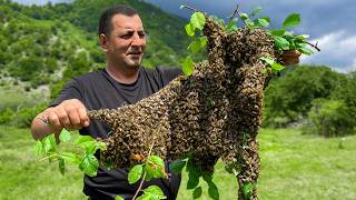 Harvesting Beehives and Cooking Chicken in Honey with Pasta in the Middle of Nowhere