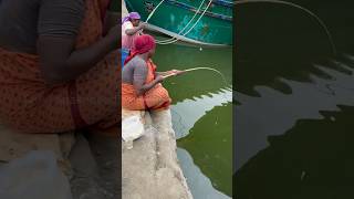 Expert lady catch mullet fishing in boat side water #mulletfishing #fishingvideos