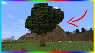 COMMENT FAIRE POUSSER UN ARBRE GEANT DANS MINECRAFT [TUTO]