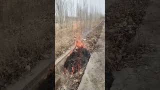 Farmland irrigation canal debris removal process