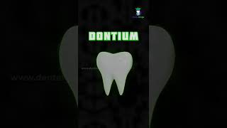 1/15 Healthy Gums : What is Periodontium? பெரியோடாண்டியம் என்றால் என்ன? |Dr.Karthikeyan |Denta Kings