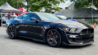 Ford Shelby Mustang GT500 Quick Drive