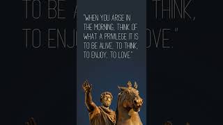 Marcus Aurelius Quote 4  #ancientphilosophers #quotes #history  #stoicism #motivation #romanempire