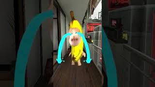 Bananacat Lost Tablet #gmod😹🍌