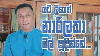 යට ලීයෙන් නාරි ලතා මල් පූදින්නේ...