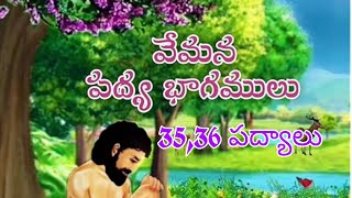 VEMANA TELUGU PADYALU 35,36.. వేమన తెలుగు పద్యాలు..( నీళ్లలోన మీను.., నీళ్ల మీద నోడ నిగిడి..)