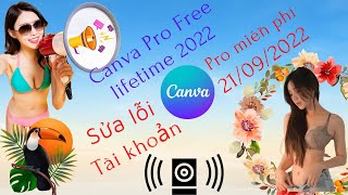 [Canva] Sửa lỗi không vào được Canva Pro | Hướng dẫn kích hoạt tài khoản Canva Pro Team