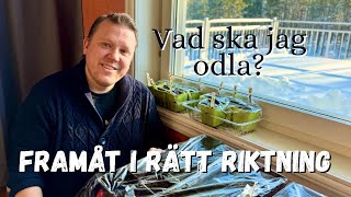 FRAMÅT I RÄTT RIKTNING