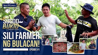 Sugod Bukid (Episode 1): Sili Farmer ng Bulacan, ipinagluto ni @chefboylogroofficial