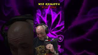 How Much WEED Do Joe Rogan and Wiz Khalifa Smoke? #shorts