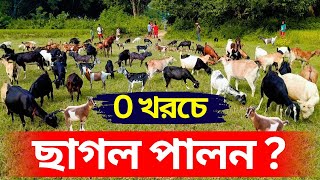 0 খরচে ছাগল পালন? zero costing goat farming in West Bengal.