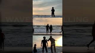 Waves Calling | Memories moment | loop video | sunset vibes | the paanda